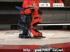 Robot wrestling