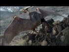 FedEx caveman commercial