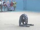 Flexible gymnast